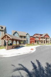Community Gallery - 7