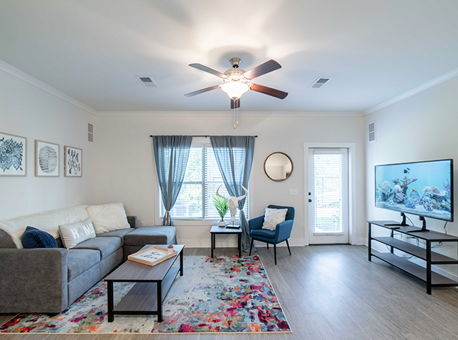 Furnished apartment living room