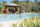 Resort Style Pool