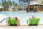 Resort Style Pool